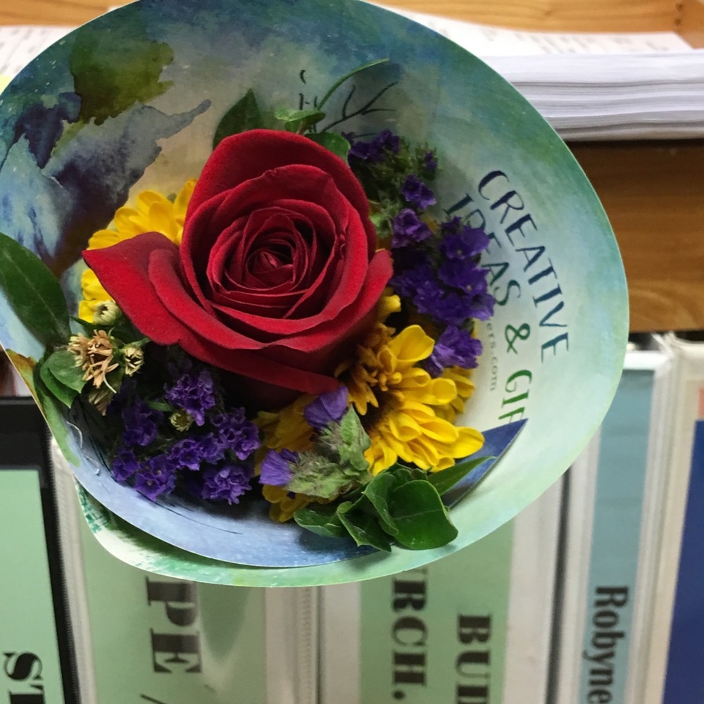 Meet your Posher, Rachel